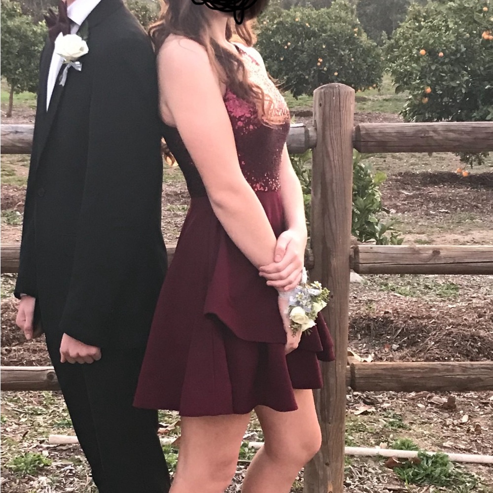 Elegant Burgundy Sequin Dress